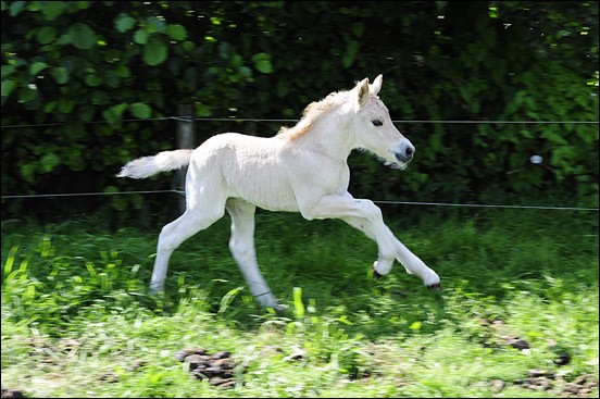 Photo de profil de grauholz