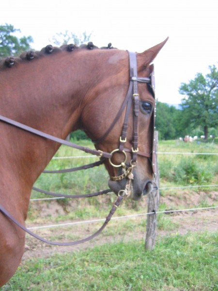 Photo de profil de myrae