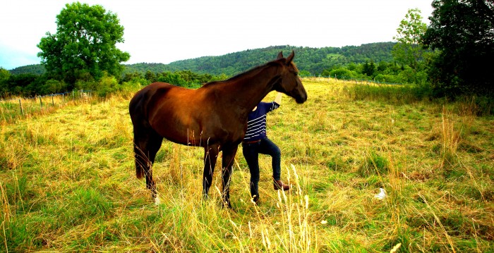 Photo de profil de jumentdamour