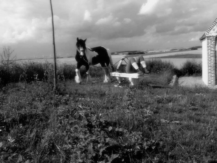 Photo de profil de lncf02