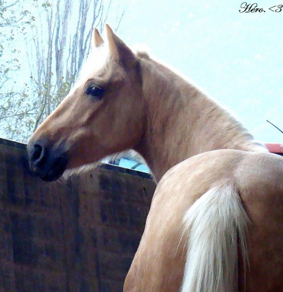 Photo de profil de elminiie