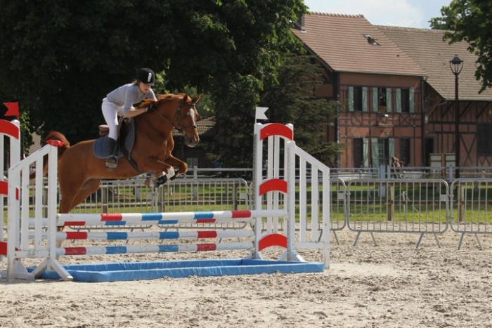 Photo de profil de sssaaaallluuut