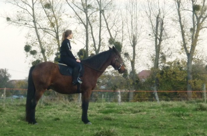 Photo de profil de titi54