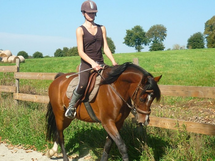 Photo de profil de urvan