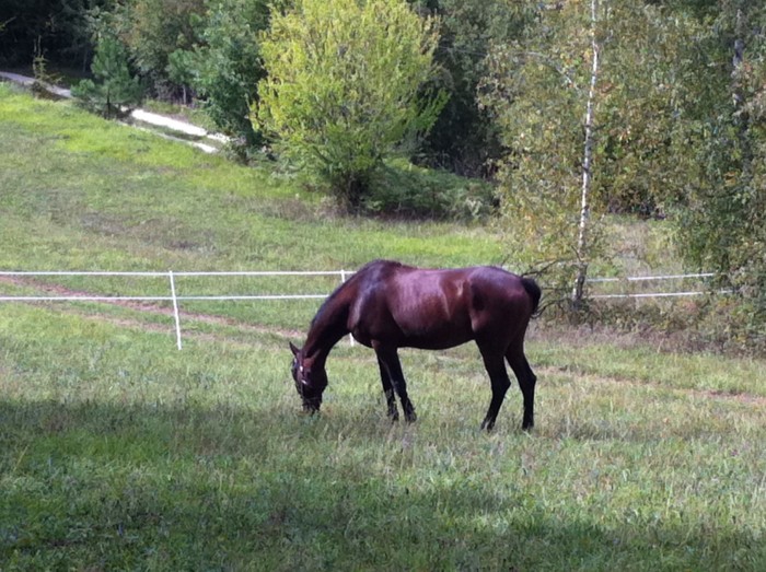 Photo de profil de legrezel