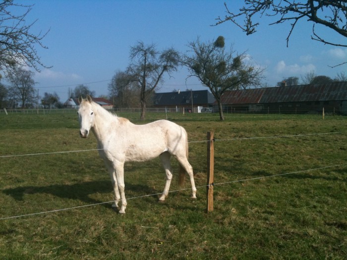 Photo de profil de fredr