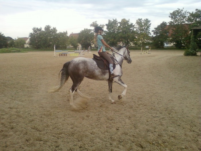 Photo de profil de seabanks