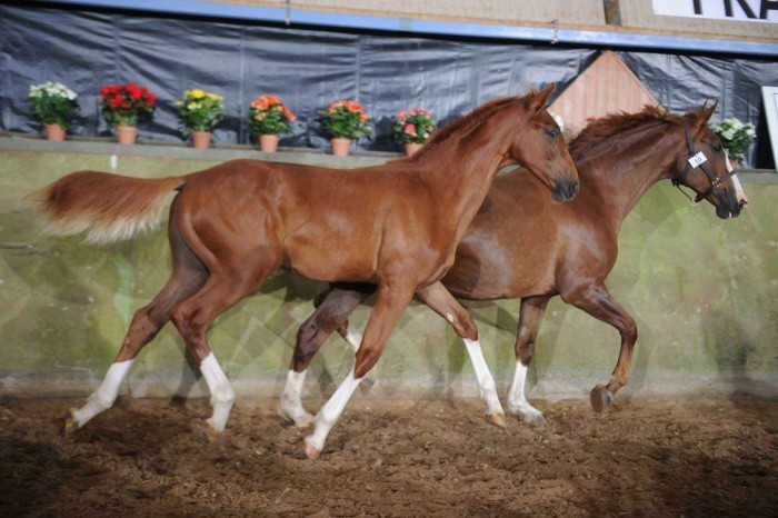 Photo de profil de christaino