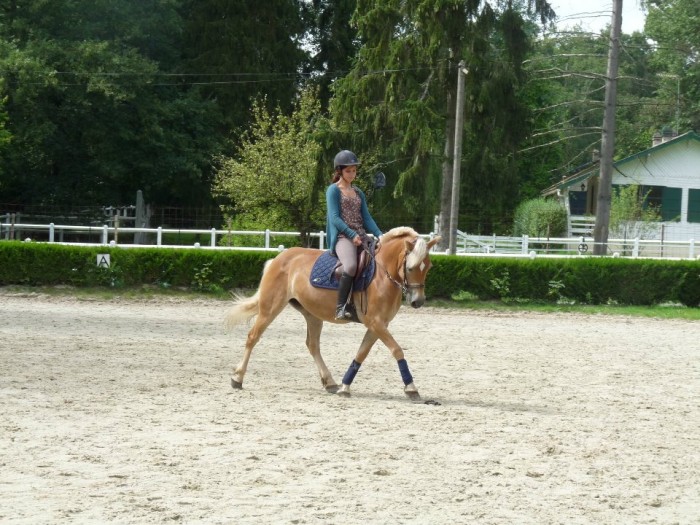 Photo de profil de lucillep