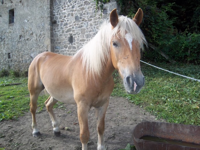 Photo de profil de ag23420