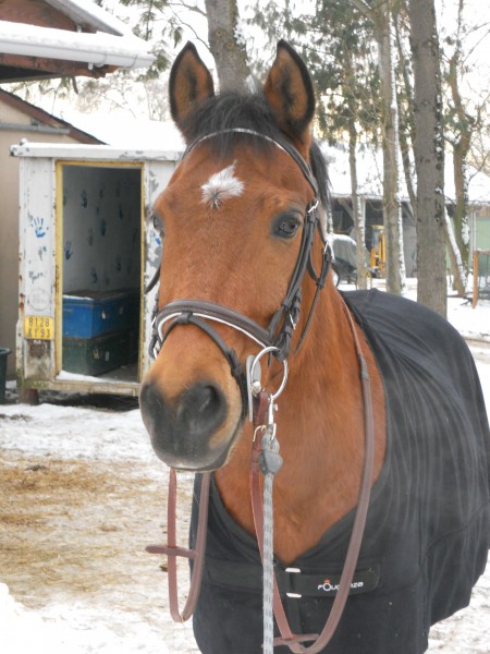 Photo de profil de vmorin