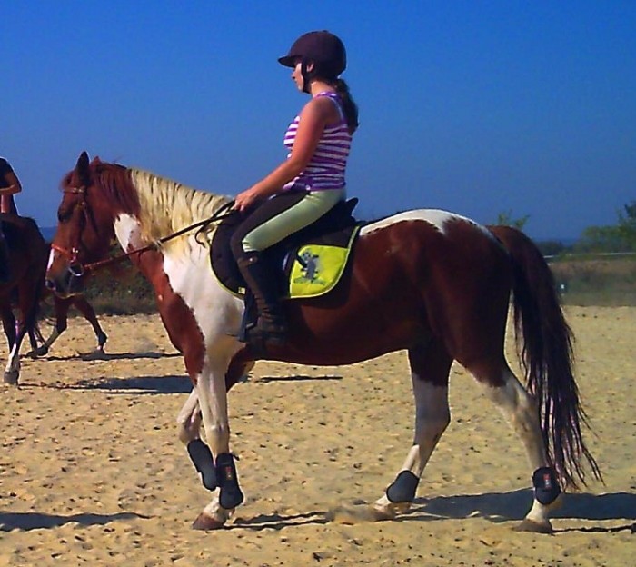 Photo de profil de mlleexemiliee