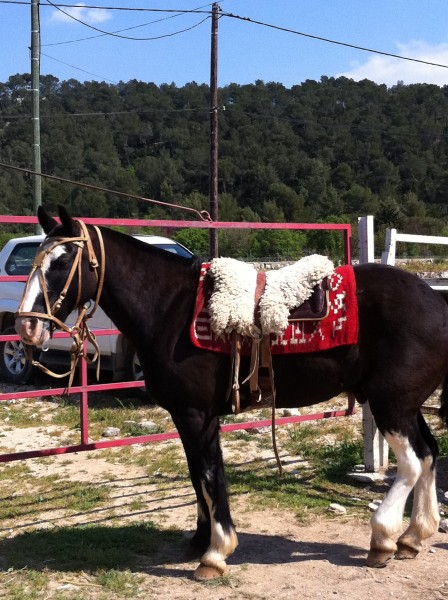 Photo de profil de vinflo