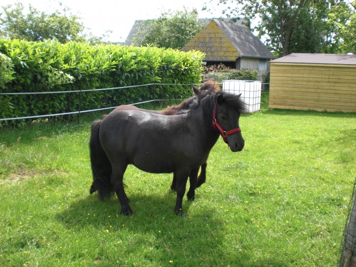 Photo de profil de stereden76