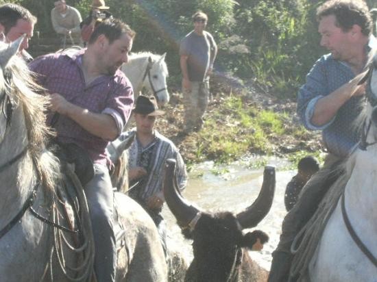 Photo de profil de marechalfred