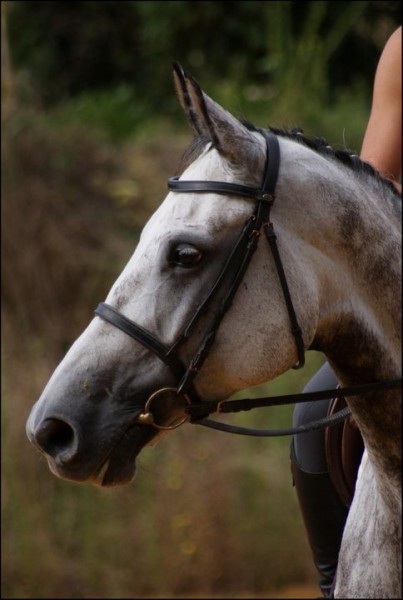 Photo de profil de justinepuaud