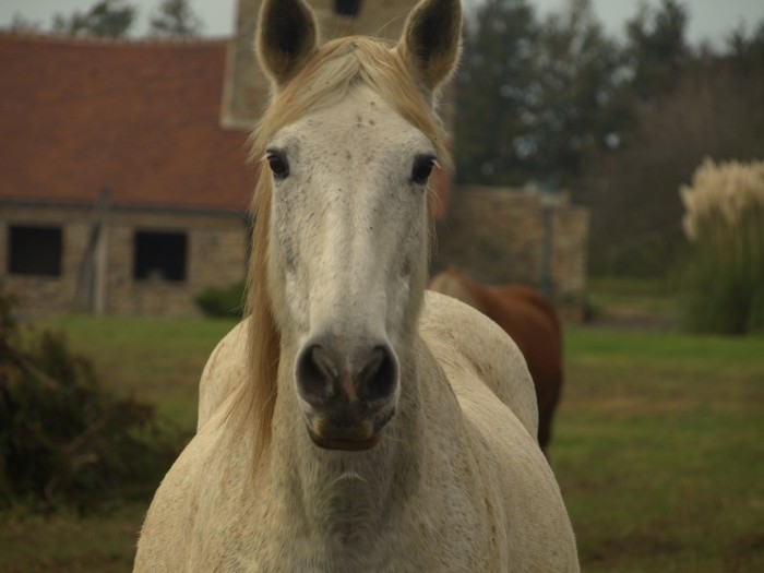 Photo de profil de feriahope