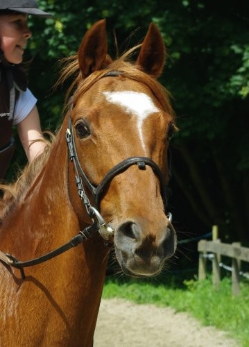 Photo de profil de atala