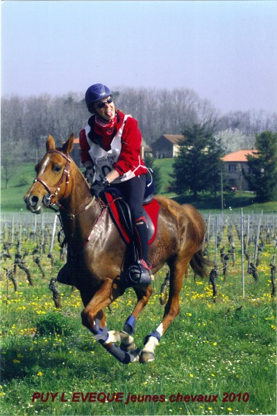 Photo de profil de junkett