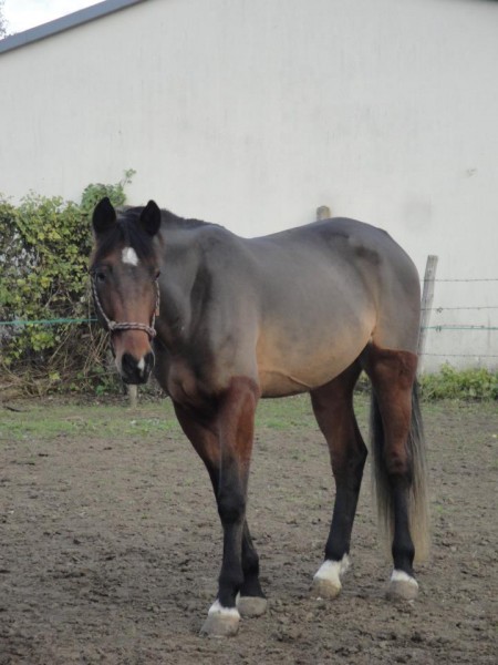 Photo de profil de upside93