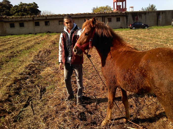 Photo de profil de bakoulo