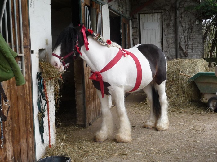 Photo de profil de mimi88100