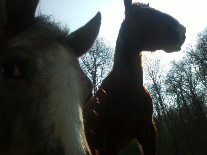 Photo de profil de lenaslife