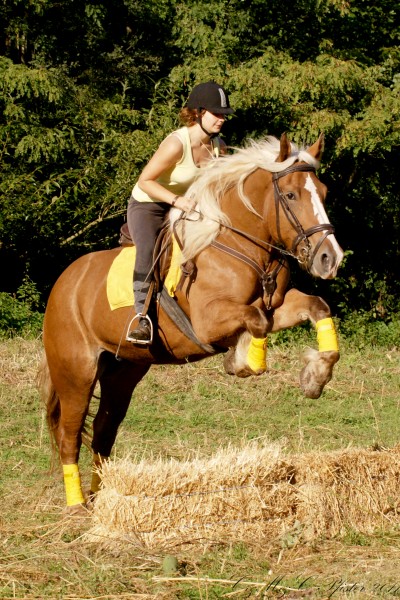 Photo de profil de priscaquita