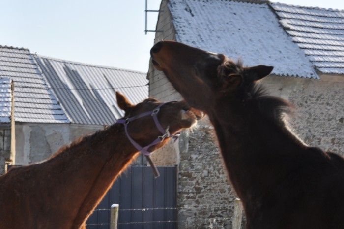 Photo de profil de beasko