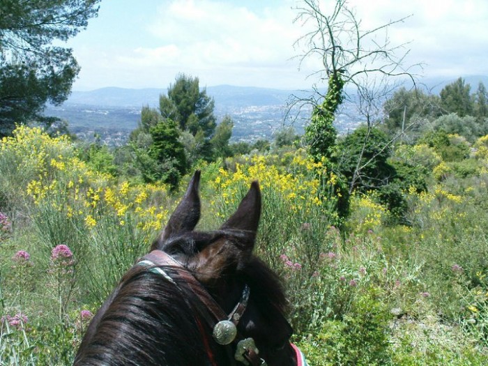 Photo de profil de lililovehorse
