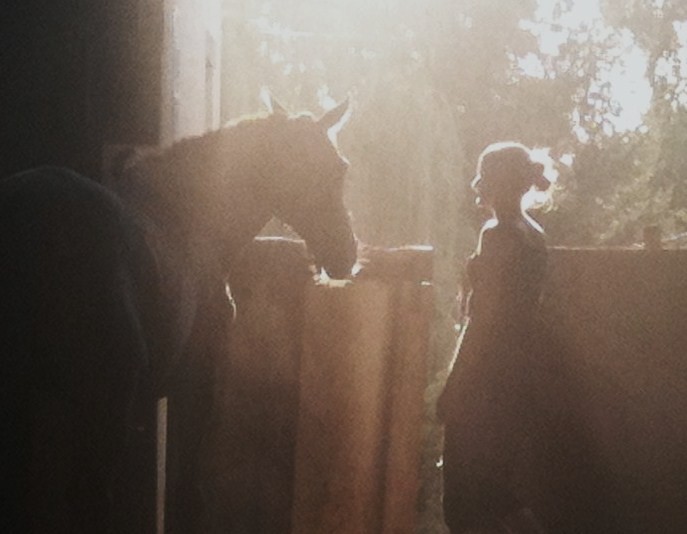 Photo de profil de theclemy