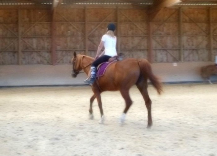 Photo de profil de coco99