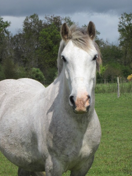 Photo de profil de lymansi