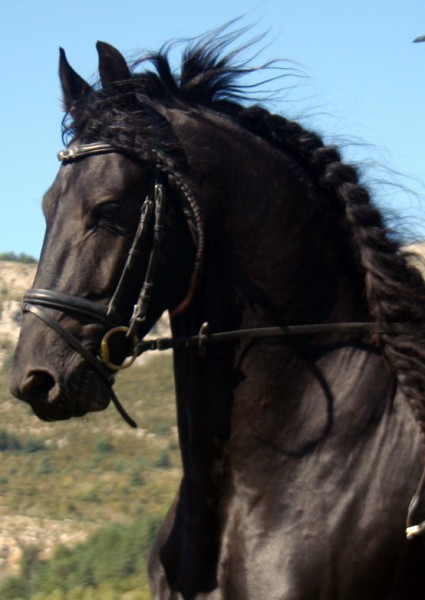 Photo de profil de bendert