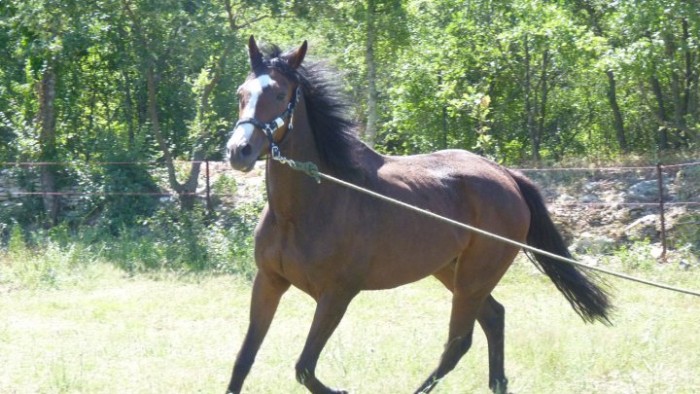 Photo de profil de womad