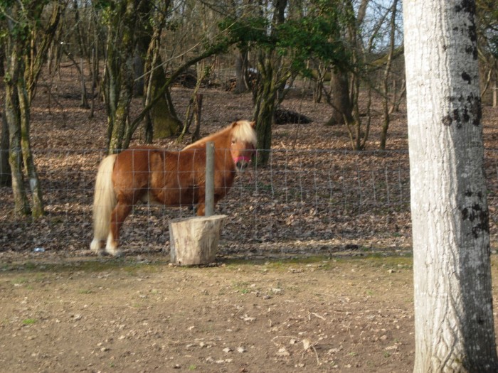 Photo de profil de choubydoo