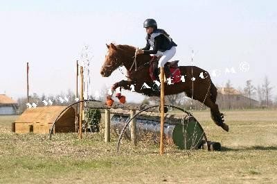 Photo de profil de kamilawe