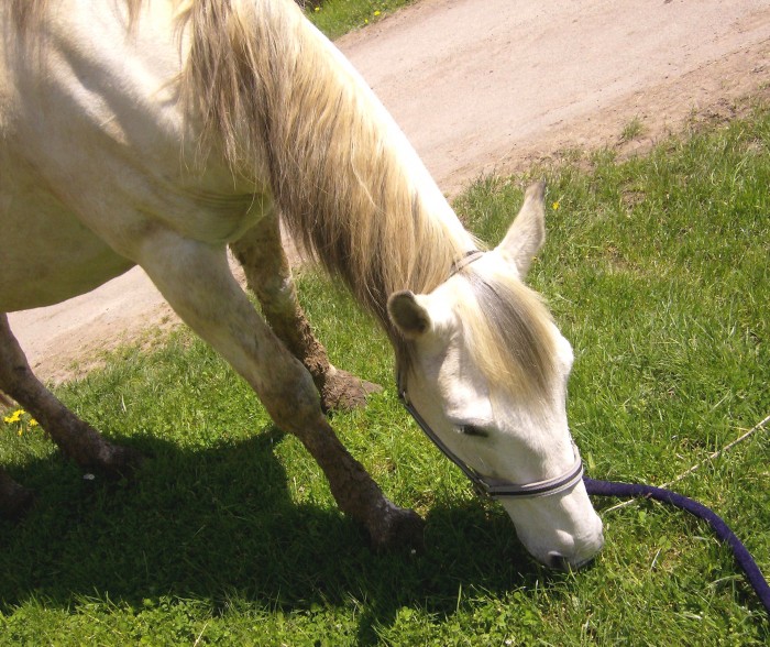 Photo de profil de piapiou21