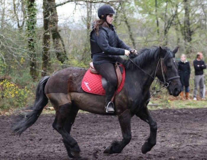 Photo de profil de mouchou40