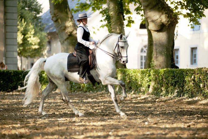 Photo de profil de tchaou