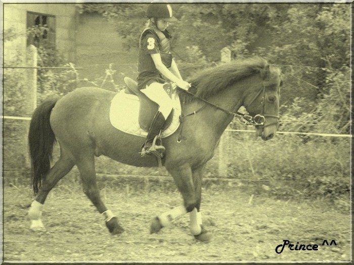 Photo de profil de marion77118