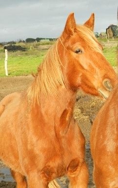 Photo de profil de celine27