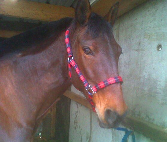 Photo de profil de laurakristina