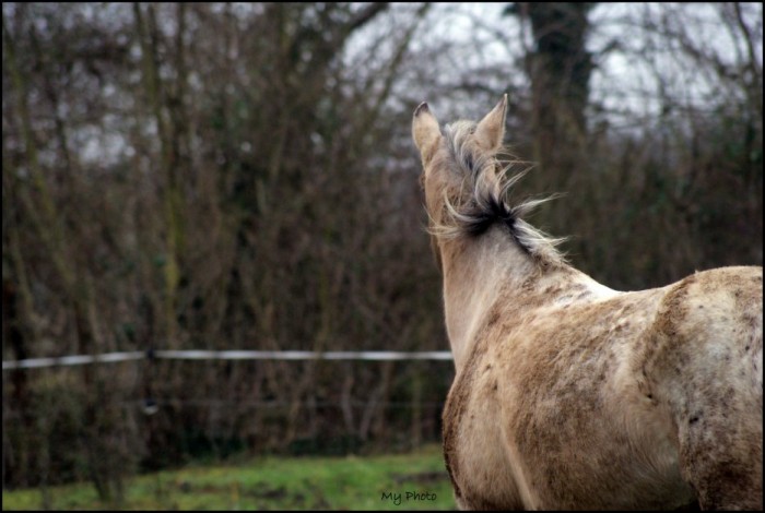 Photo de profil de terre60