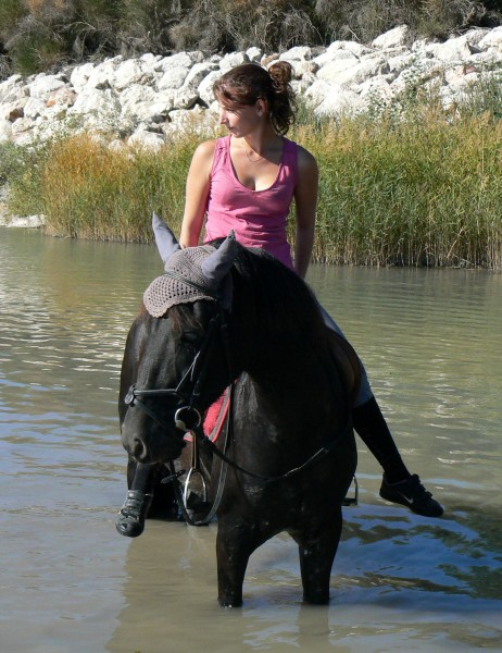 Photo de profil de h.melaine