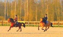 Photo de profil de vantard