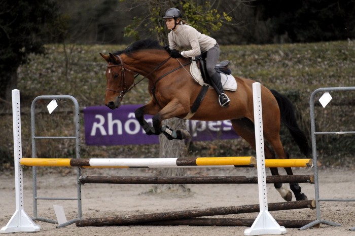 Photo de profil de chrystelou