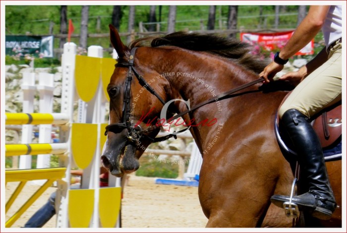 Photo de profil de vvaquero