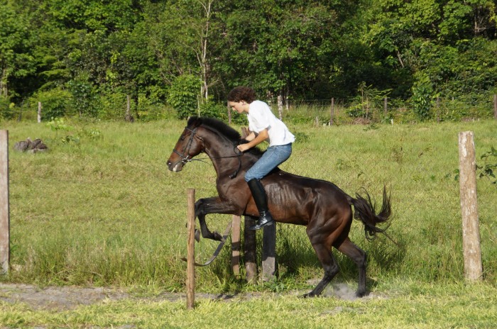 Photo de profil de ericou