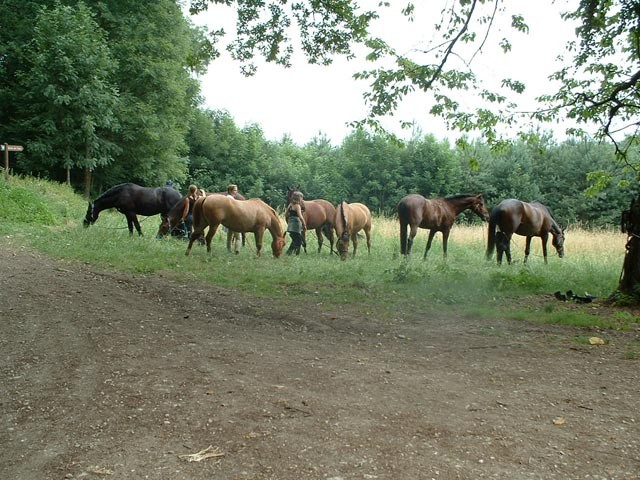 Photo de profil de claurev57